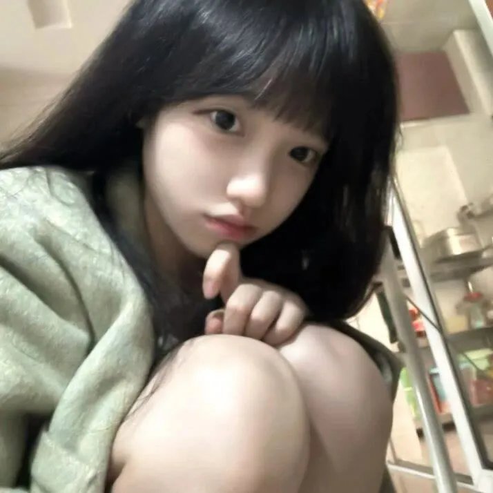 幼狮王朝